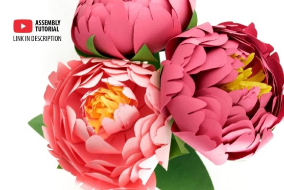 3D Paper Peony Flowers